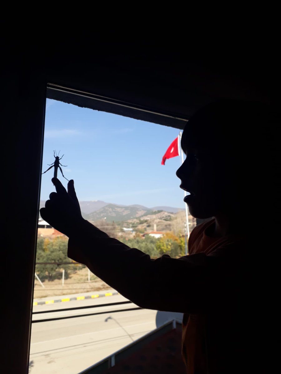 Aysun Çakır tweet media