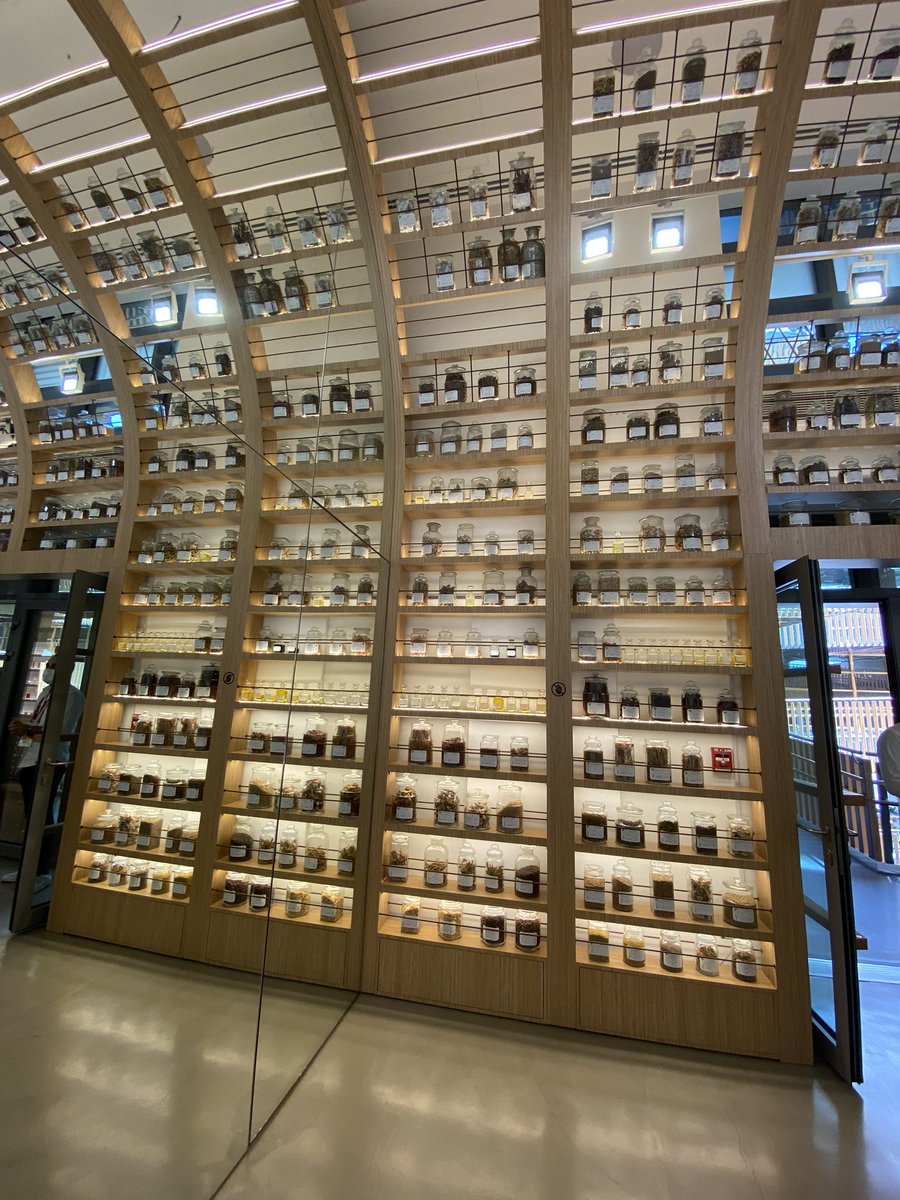Lailamamou's tweet photo. Le pavillon #maroc à #Expo2020Dubai , une #fierté https://t.co/jFGKDwFFar