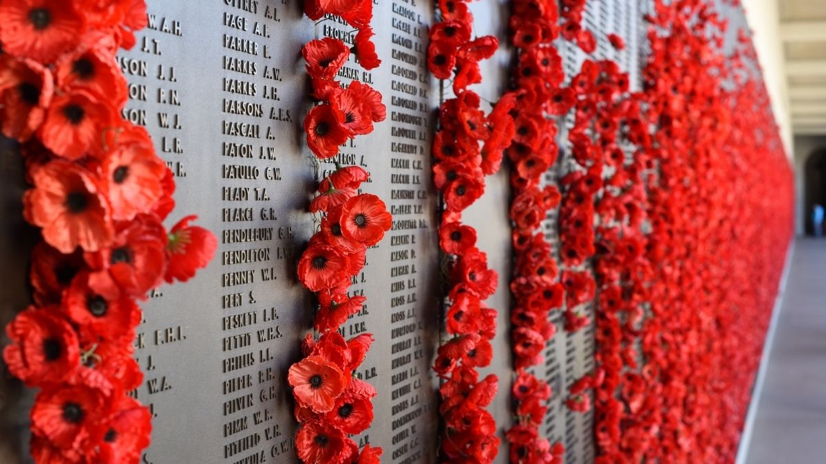 parcelforce's tweet photo. We shall remember. 

#RemembranceSunday
#LestWeForget
#RemembranceDay2021 https://t.co/O0fTayQOJx