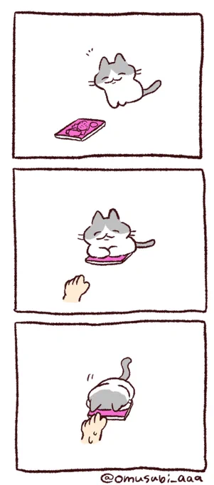 絶対渡さないマン 