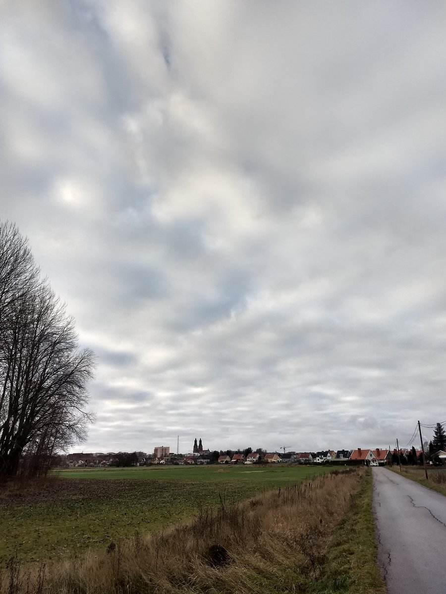 Stefan_Laurell's tweet photo. En kort #tråd om #historia
Visste ni att i #Eskilstuna finns inte "bara" #Sigurdsristningen att njuta av? Vi har även en av Södermanlands största #runstenar uppställda längs ett fält i utkanten av stan. Typ såhär i utkanten ⬇️😳⬇️1/5 https://t.co/6HeLhiw3S0