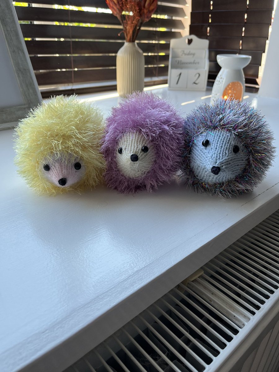 AnimalProjectNS's tweet photo. The Knitted Hedgehogs are back! These large homemade knitted hedgehogs are £5 each. All money raised is given to to the North Somerset Hedgehog Charity. Please message me if you are interested. Thank you 🐾 https://t.co/UD6cCpszJx
