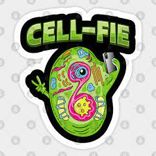 It's FUN + SCIENCE +MUSIC all the way
...on The GFL Show today!
99.9 FM on your car radio / 'Tune in Limerick City Community Radio' on Alexa/smart devices!
Ceol, CRAIC, Eolaíocht ... Bigí linn - 5-6 pm inniu!