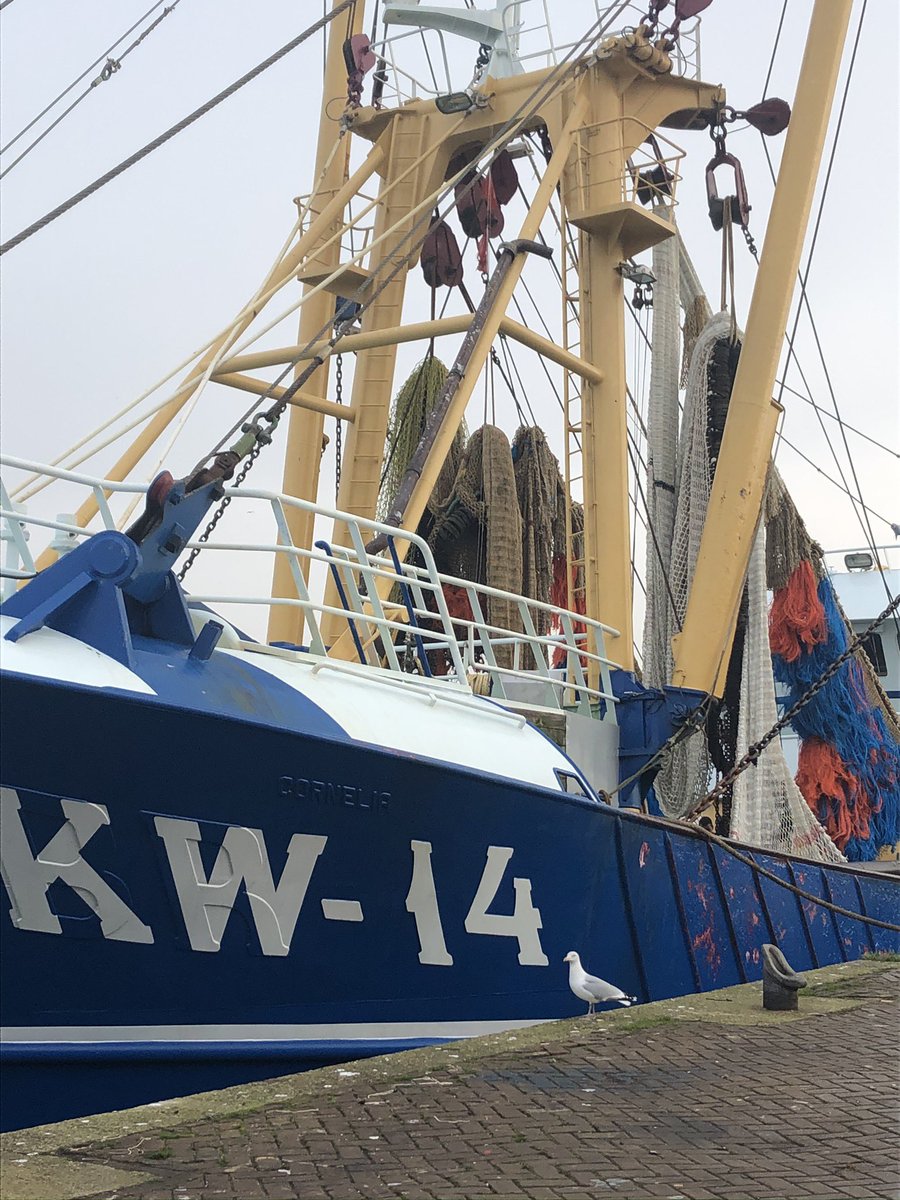 Kijktip 📺 vanavond:
22:09 tot 23:05. #Vissen naar de toekomst. NPO2 VPRO Tegenlicht - TV Gids tvgids.tv/tv/vpro-tegenl…