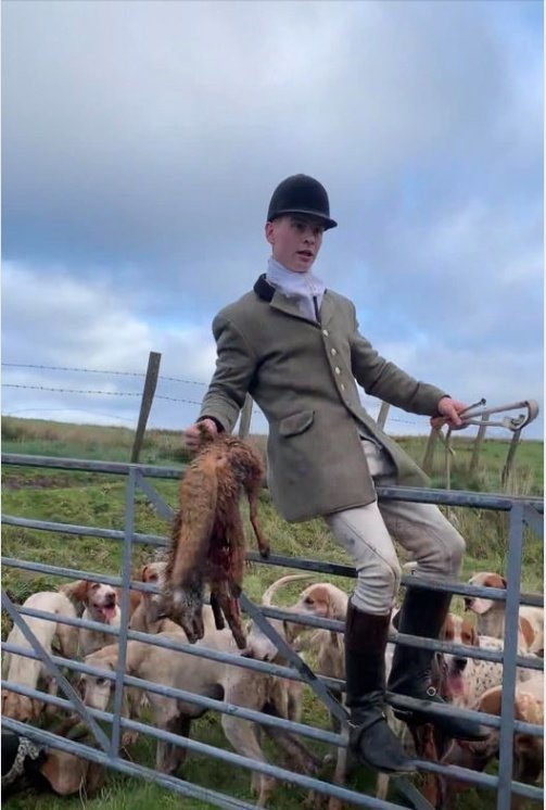 This was the outcome of the Lanarkshire and Renfrewshire Hunt yesterday. What's more sickening is this kill was entirely LEGAL due to the loopholes in the Protection of Wild Mammals Act (Scotland) Please RT and fill out the public consultation now: bit.ly/3kBp8NM