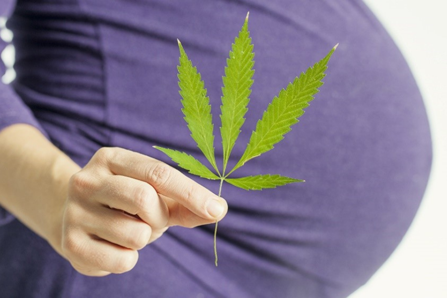 caryobgyn's tweet photo. Cannabis use disorder during pregnancy on the rise.

Read more: https://t.co/R5P6yCIeZO

#cannabis #medical #medicine #pregnancy #pregnant #pregnancyhealth #pregnancycare #pregnantwomen #pregnancyjourney #pregnancytips #marijuana #obgyn https://t.co/PC9fpCcQHz