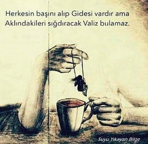 Fulya (@mercimek_) on Twitter photo 