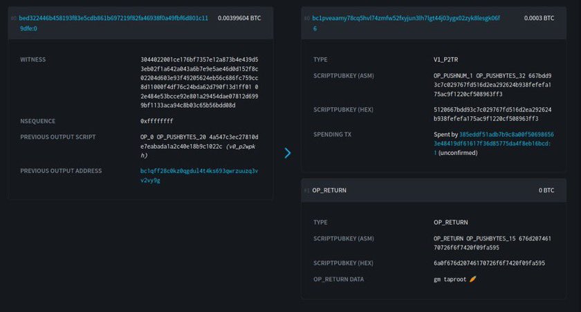 pete_rizzo_'s tweet photo. The first Taproot transaction in #Bitcoin history ✨ https://t.co/pUIo3SnjX7