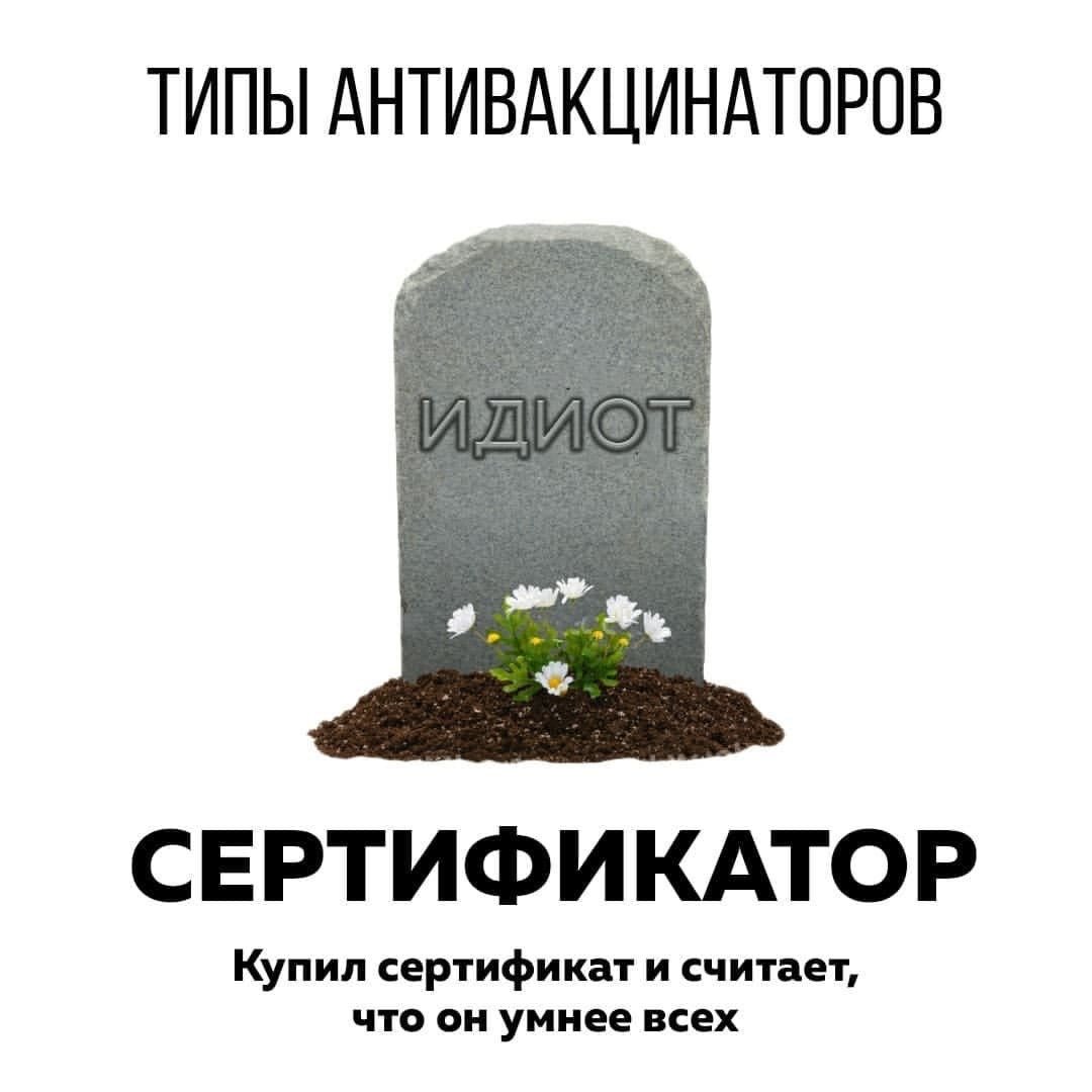 FEJslaYXsAElVOj?format=jpg&name=medium