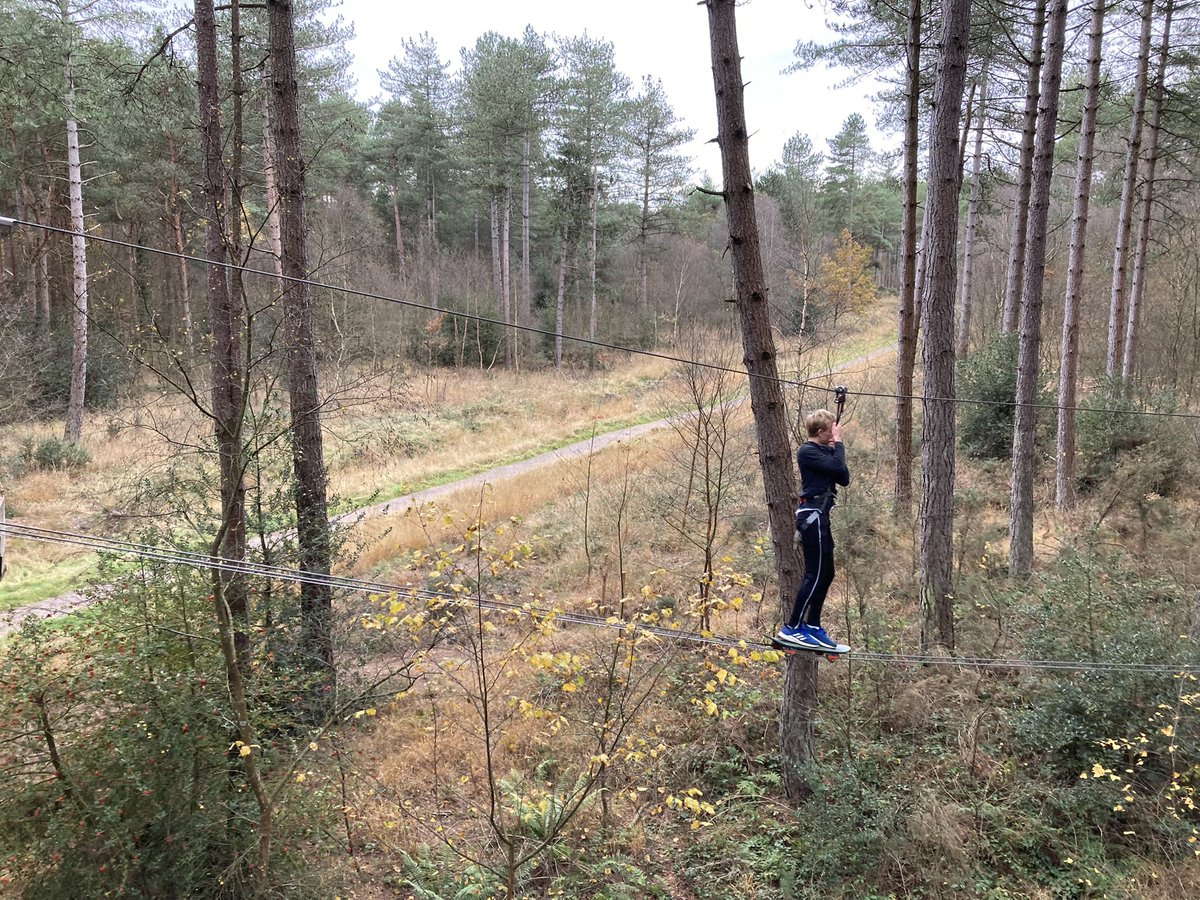 MillfieldHouse9's tweet photo. Live from the forest canopy. https://t.co/cpioOYKoUn