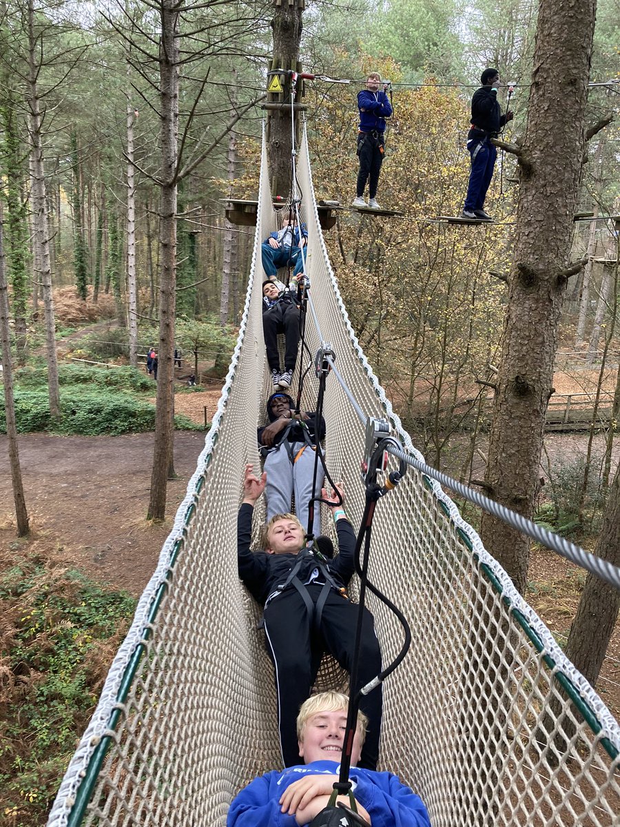 MillfieldHouse9's tweet photo. Live from the forest canopy. https://t.co/cpioOYKoUn