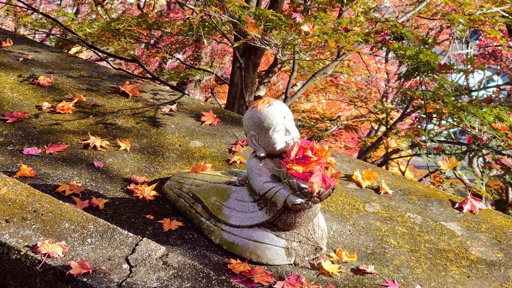peanuts4021's tweet photo. いつも『ありがとう』

紅葉🍁 https://t.co/El5yY7w6K4