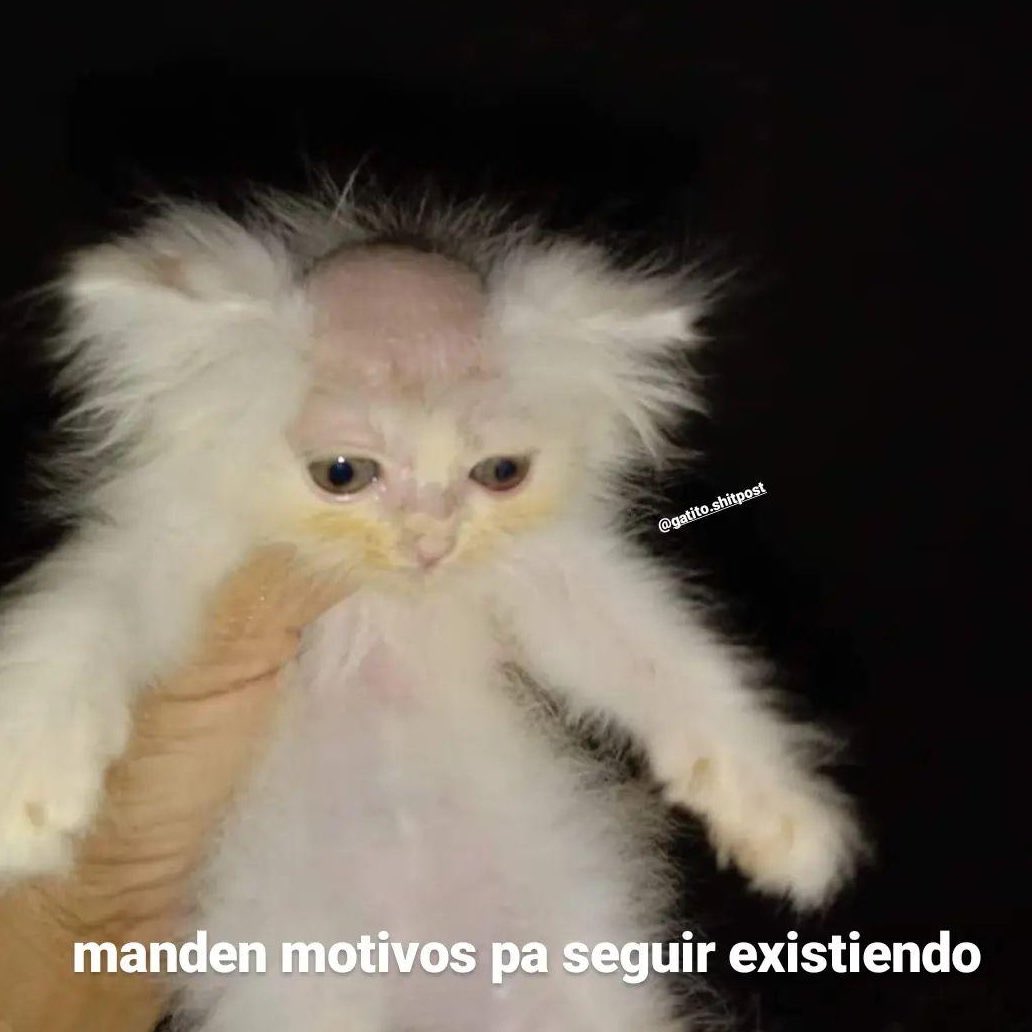 Domingo