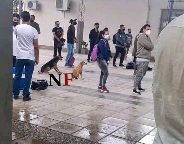 NoticiasFsaOk's tweet photo. #FormosaDecide | Todos quieren votar, a pesar de la lluvia. Nunca faltan las #mascotas. #Firulais #PorLasRedesFormosa https://t.co/lV5ZEmFwW7