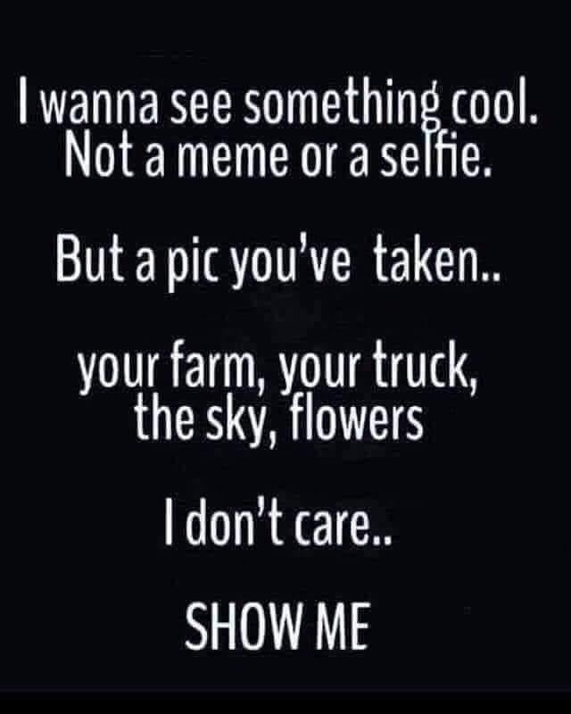 Digital Daisy🌸 tweet media