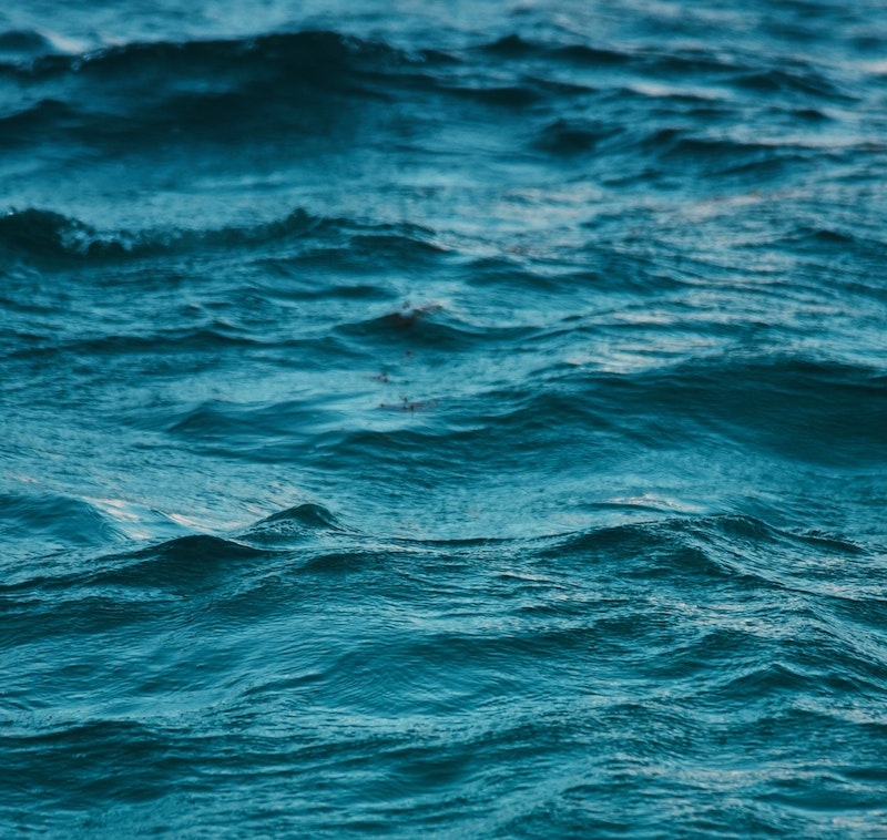 PiperWai loves our oceans! By using OWP, we’re not only cleaning plastic from our oceans, but we’re also preventing new plastic from entering them.