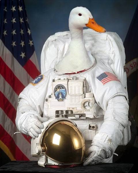 OuzhanT24304916's tweet photo. @SnoopDogg @TonyGonzalez88 @peacockTV @SNFonNBC @SnoopDogg #richquack 🚀 🚀 🚀 🚀 🚀 🦆🦆🦆🦆🦆 https://t.co/PNAiHKdujP