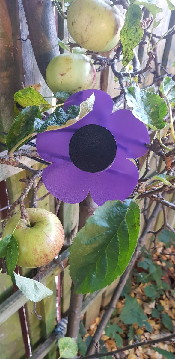 ClaireerialC18's tweet image. #PurplePoppy #Theyalsoserved #animalsofwar #LestWeForget #RemembranceSunday #RemembranceDay #RemembranceDay2021 🕊 @MA_PurplePoppy 💜