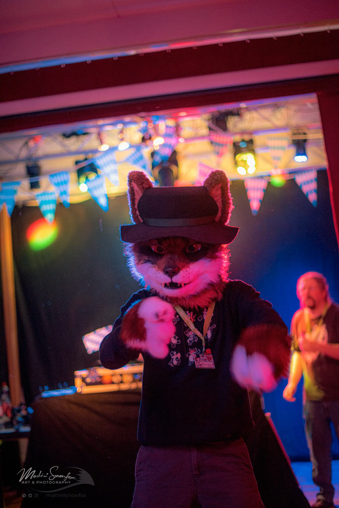 martinisnowfox's tweet photo. what a handsome fella on the dancefloor of @goldenleavescon
@woelfisch
https://t.co/BiUHtRHFar
#glc11 #glc2021 #furcande #dance #photography https://t.co/6Q9taLMdxI
