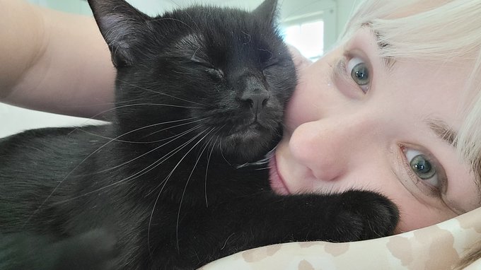 She insists on sleeping on my face lol https://t.co/uc6IX5i8ad