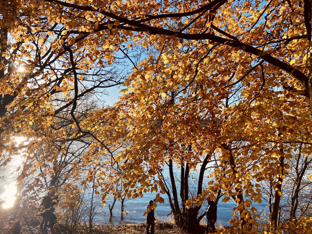 Jami Gelder tweet media