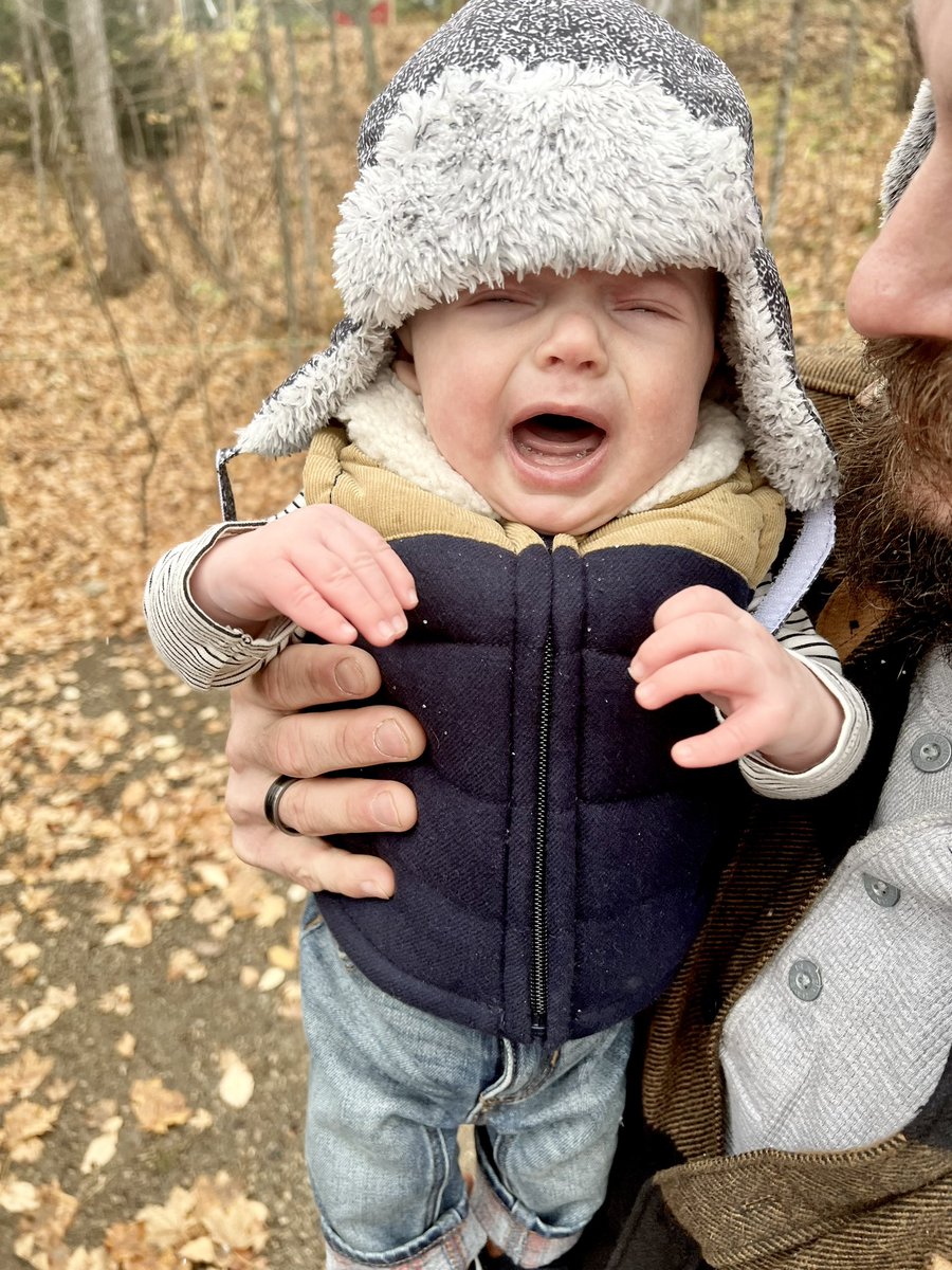 natskeet's tweet photo. How Wallace felt about our Christmas photos today: https://t.co/L2akwyqugR