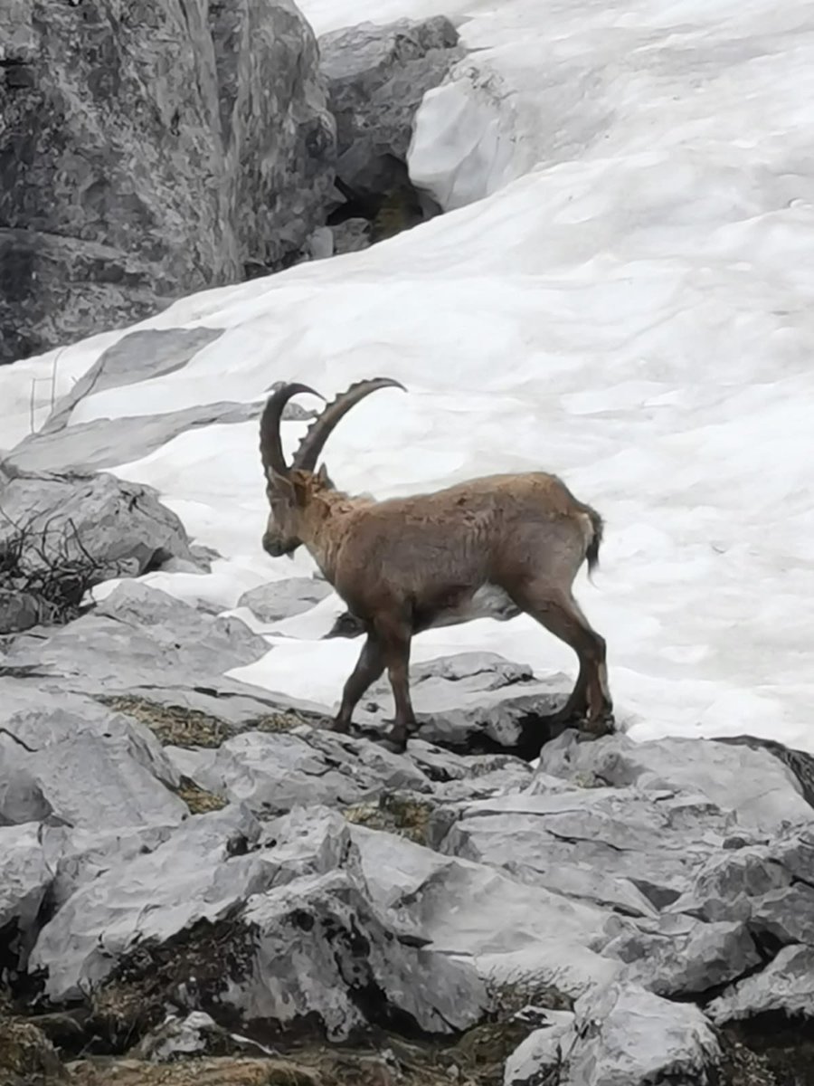 Devenir propriétaire en montagne c’est pouvoir se ressourcer le week-end en ballade #immobilier #montagne #ballade