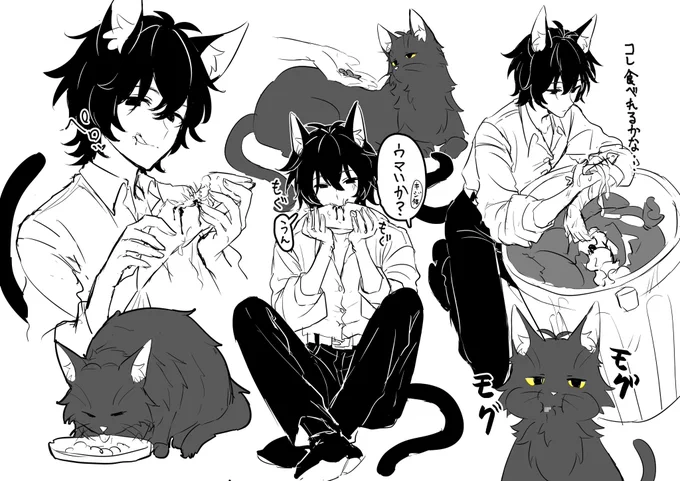 ご飯を食べる黒い猫 