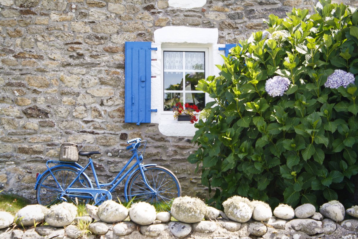 Serial Pix tweet media