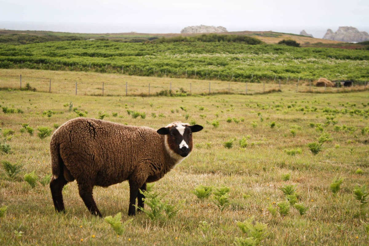 Serial Pix tweet media