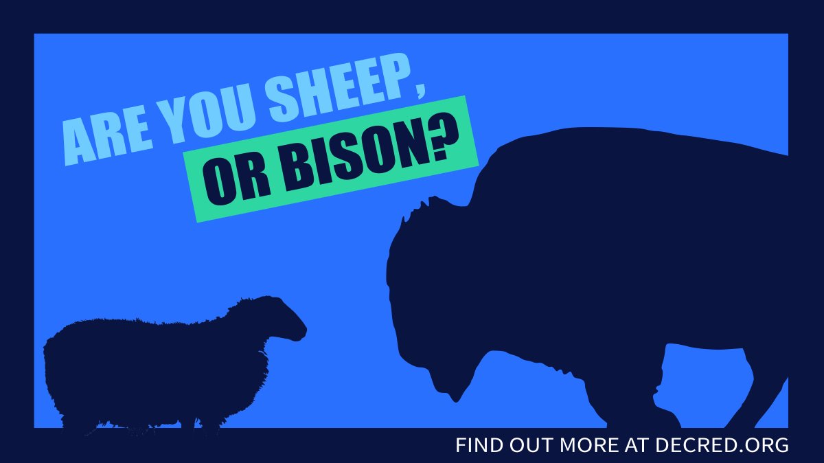 bochinchero 🦬 tweet media