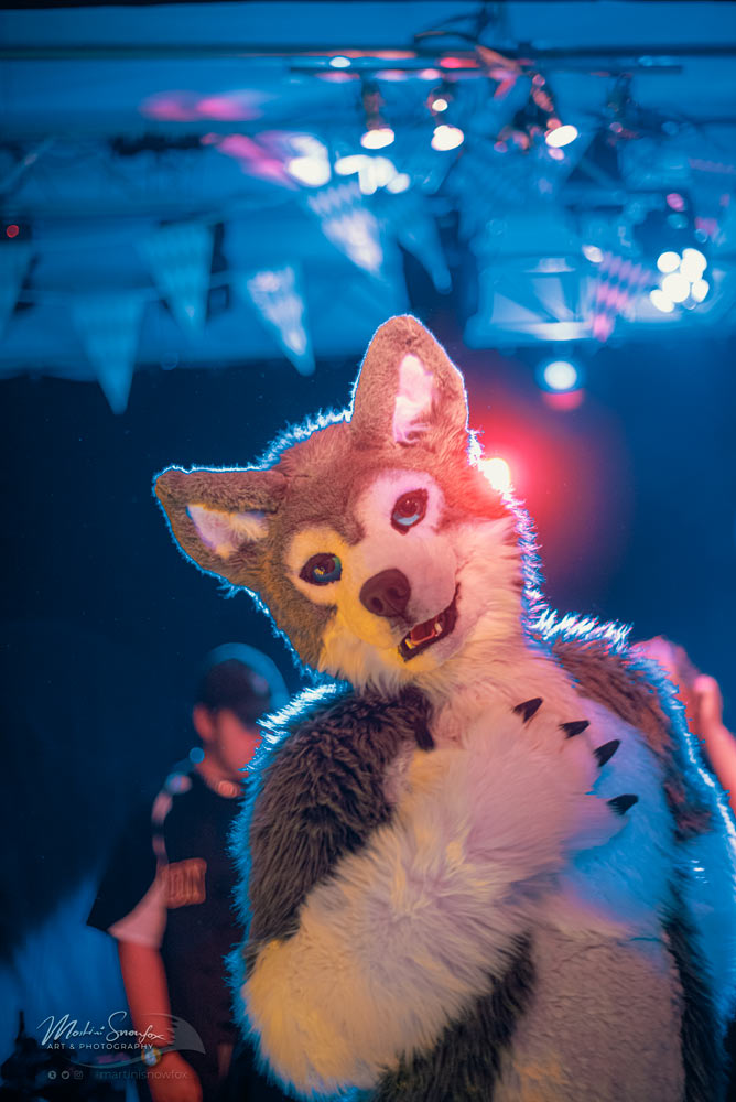 martinisnowfox's tweet photo. Awooooh on the dancefloor of @goldenleavescon !   feat. #legoshi aka. @JacktheWusky  XD

https://t.co/aKp9wBBxA0

#glc11 #glc2021 #furcande #dance #photography https://t.co/BMKKv3J1re