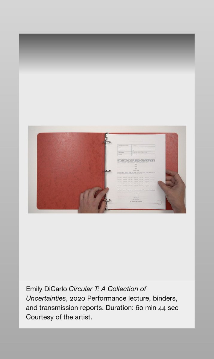 Emily DiCarlo tweet media