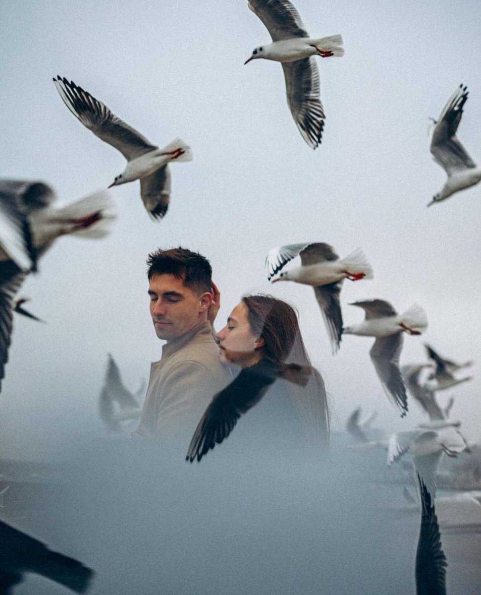 أنت : يَالهَا مِنْ فِكرة رائِعة وضَعُهَا الرَبُ فِي عَقليِّ.