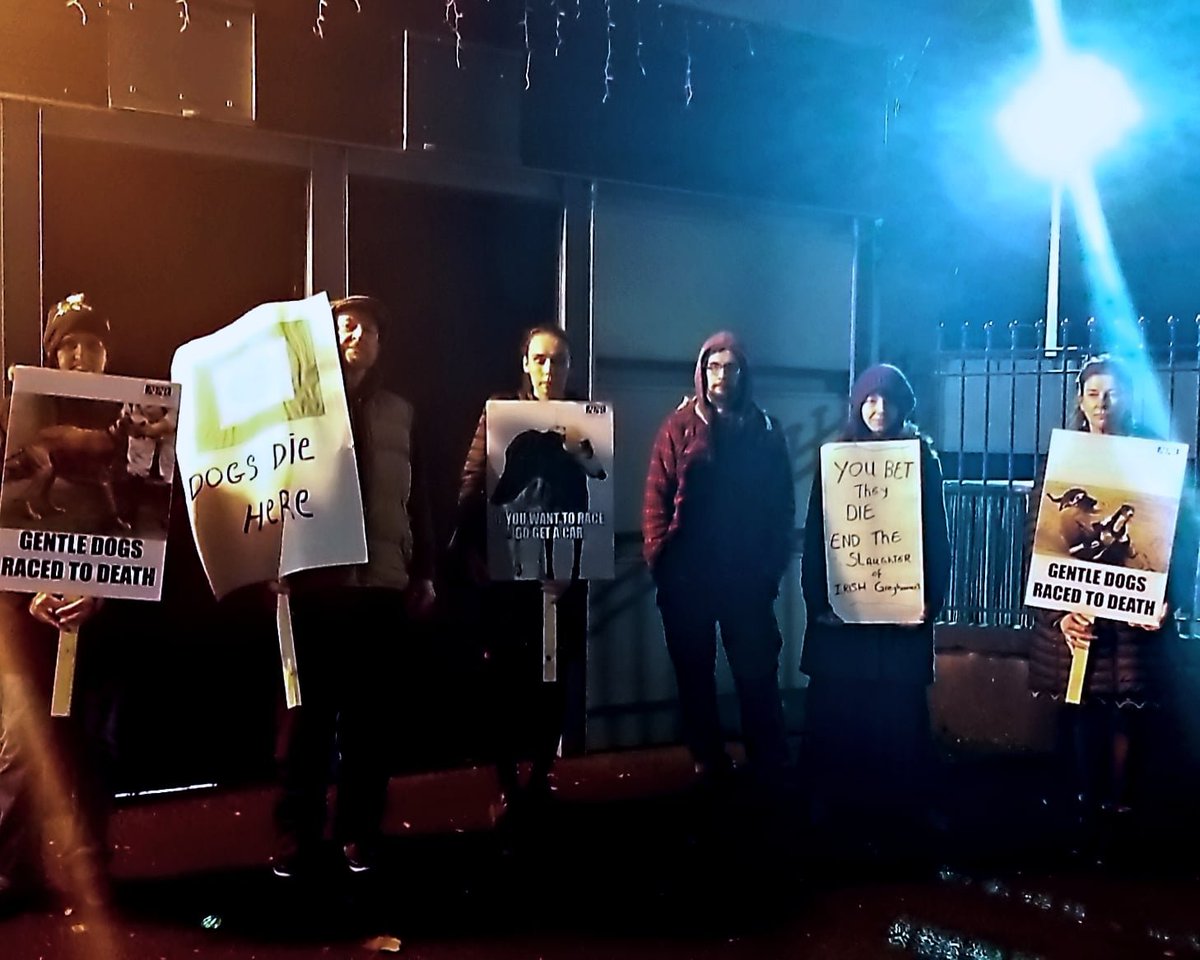 The #Galway nights are colder, but no kinder to our four-legged friends. Activists once again protest outside Galway Greyhound Stadium this evening (Saturday Nov 13th 2021) .  #youbettheyfry  #YouBetTheyDie <a href="/banbloodsports/">Ban Blood Sports</a>