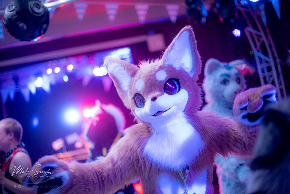 martinisnowfox's tweet photo. @FrozenNeroj at @goldenleavescon
https://t.co/LrHiWxmZFf
#glc11 #glc2021 #furcande #dance #photography https://t.co/4PtYxUB13m