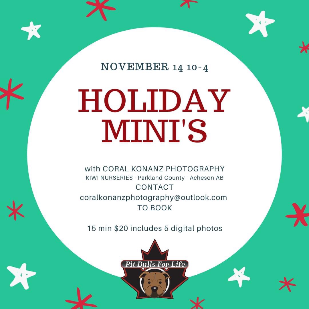 WALK INS WELCOME TODAY 10-4p

$20 includes 5 digital photos! Dogs, cats, bunnies, kids and all kinds of other creatures welcome smile

SANTA will be here 11-2p