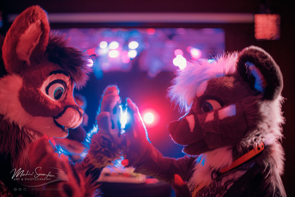 martinisnowfox's tweet photo. holding paws together with @Ryotsuke at @goldenleavescon
https://t.co/dUl2dZIjP6
#glc11 #glc2021 #furcande #dance #photography https://t.co/4mfw4tDDZY