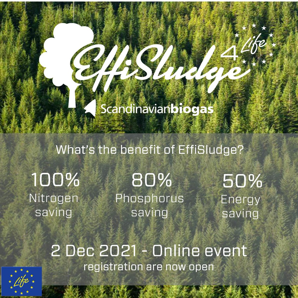 EffiSludge's tweet photo. The treatment of #wasterwater from #pulpandpaper mills requires chemical dosing of Nitrogen and Phosphorus. What if we can replace all these chemicals with recovered nutrients from fish waste? #EffiSludge shows the way to do this. @CEPI_Paper @euwidpaper @PulpPaperNews https://t.co/nYeXtFjFPn