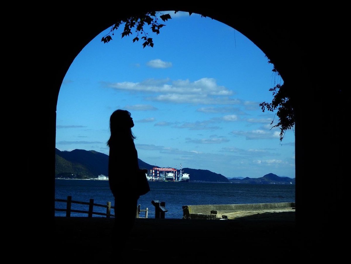 ch11215127's tweet photo. 青に溶け込んで
#写真好きな人と繋がりたい #写真 #旅行好きな人と繋がりたい https://t.co/aR000bQs2v