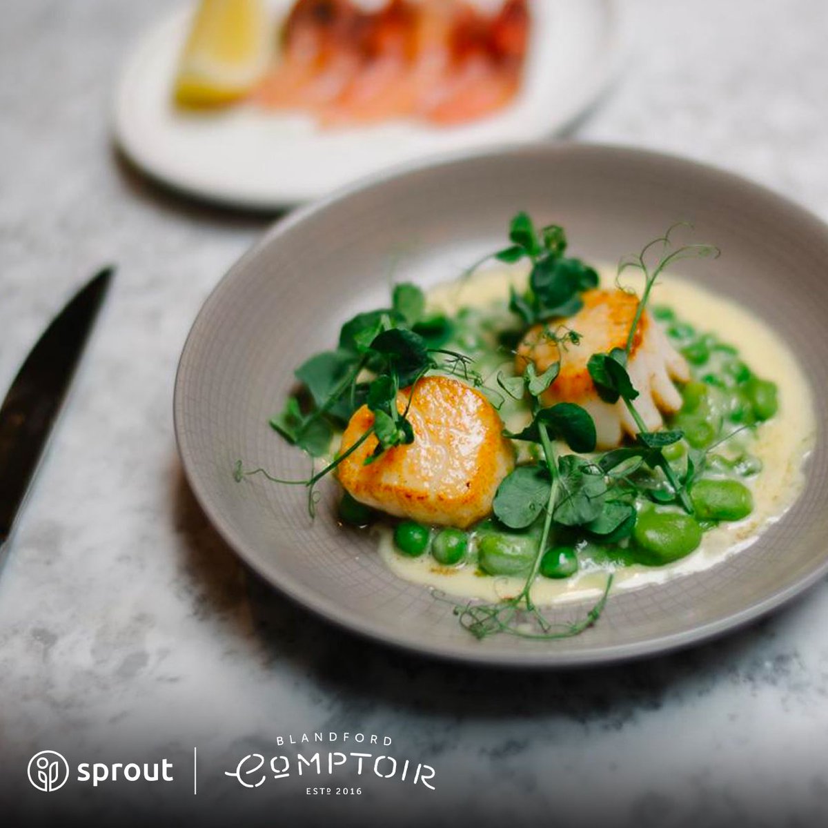 SproutSendCRM's tweet photo. Located in the heart of Marylebone, Blanford Comptoir's friendly interior provides a relaxing ambience for anyone seeking exceptional food and wine! π·
We're obsessed with their stunning, Mediterranean cuisine π
#SproutCRM #SproutSend #CRM #Hospitality #CRMSolutions https://t.co/jJoYRcRqy3