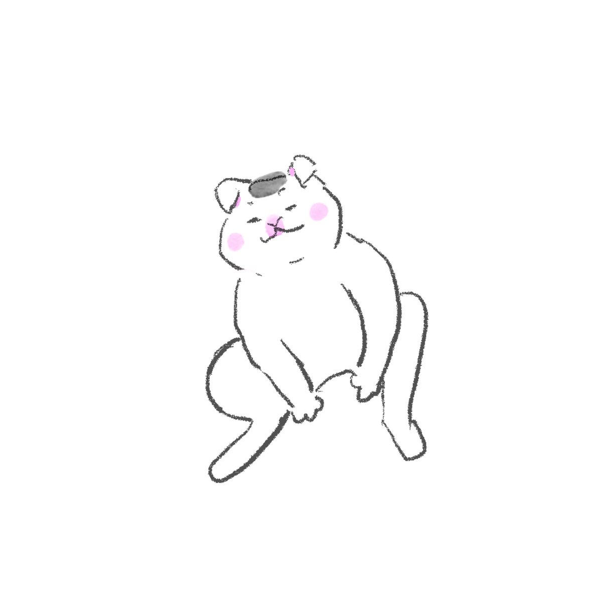 AnytimeCats tweet picture