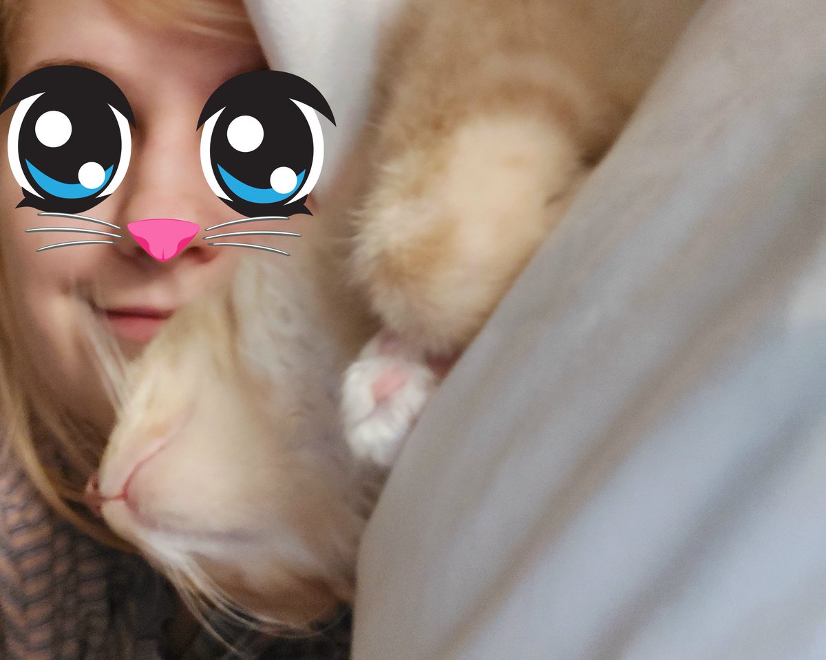 PawsleyTheCat's tweet image. Calm very late Sunday morning with mum