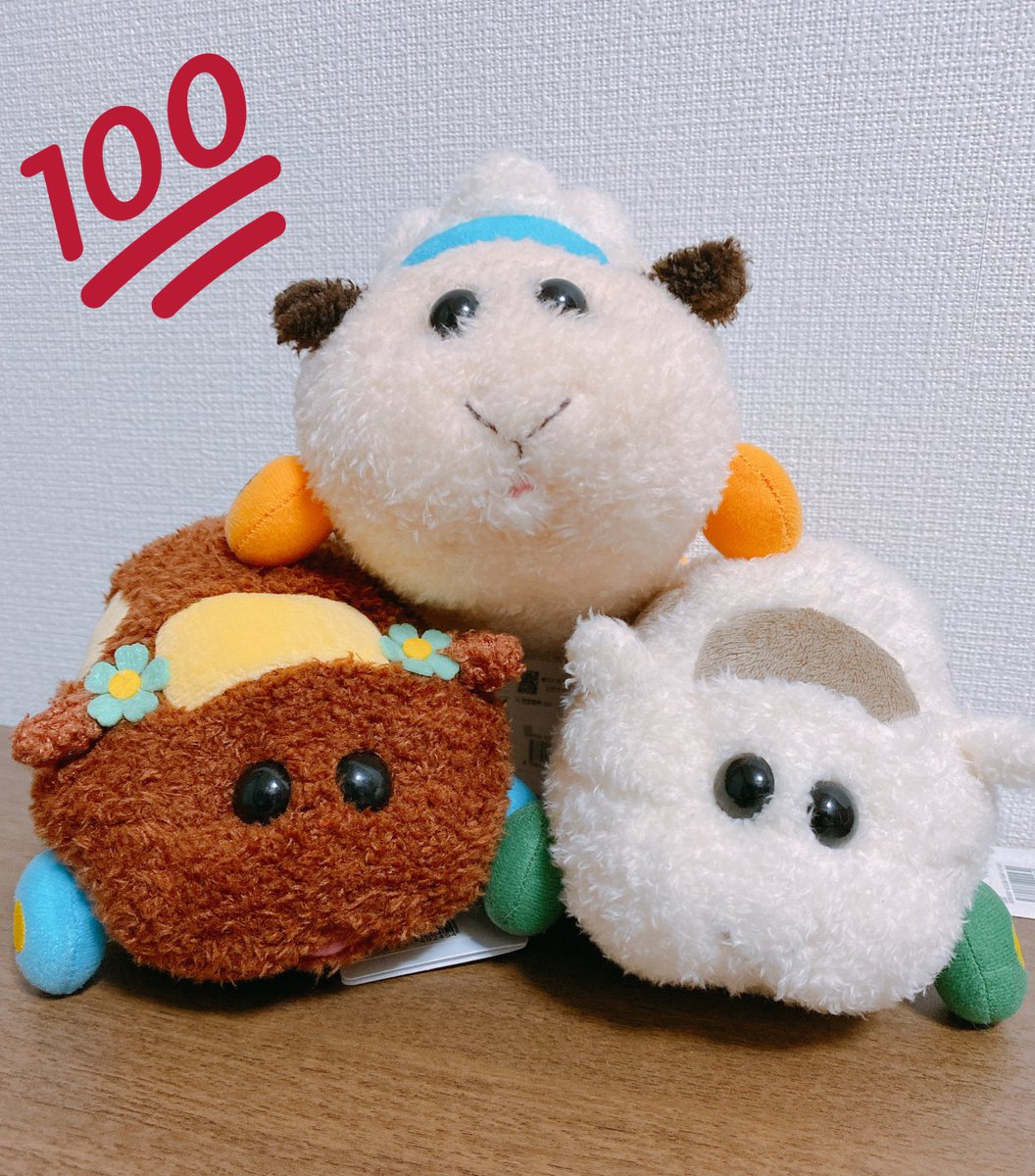 kinono_nz's tweet photo. 家帰ったらモルカー届いてた𖠿 .゜ https://t.co/d3N5EfAfxa