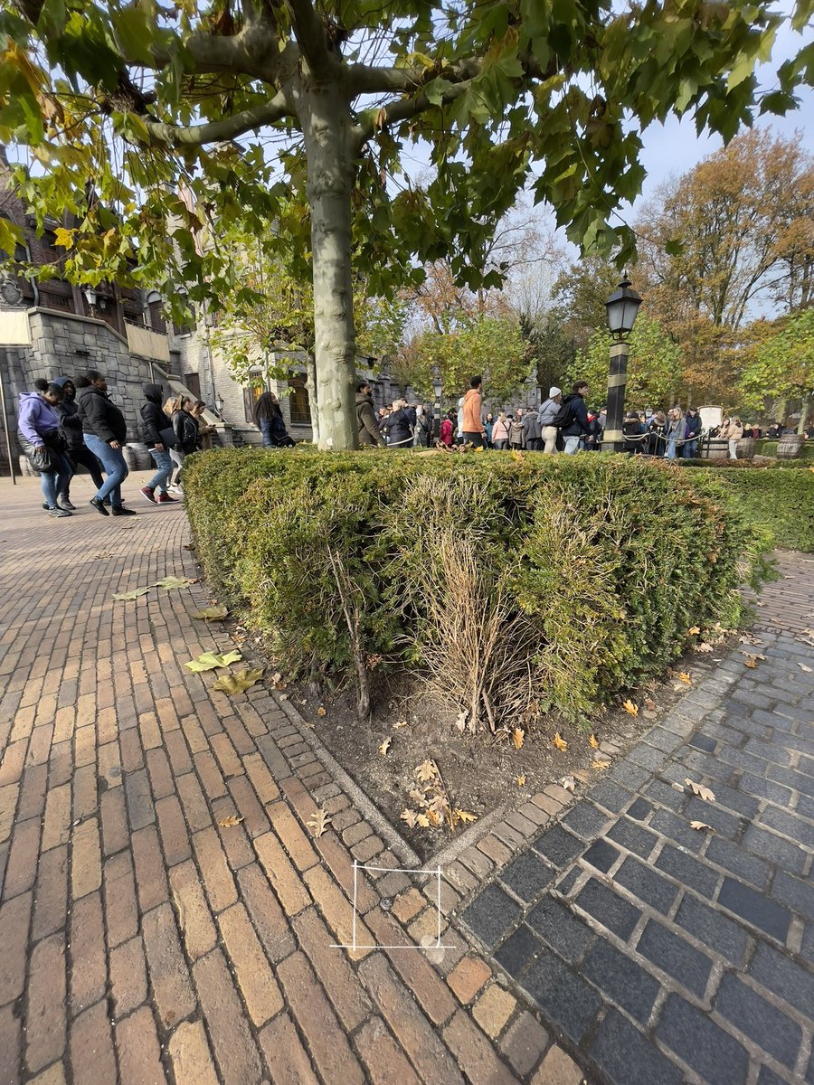 theme_magic's tweet photo. @KBoodschap Meetspijker gespot bij DVH. https://t.co/4f3h1SLAgw