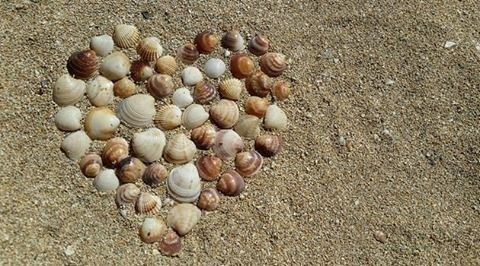DTNEtiquette's tweet photo. Be humble, be kind, be real...~ #DTN #notime4fake https://t.co/Sb7V31oKXt