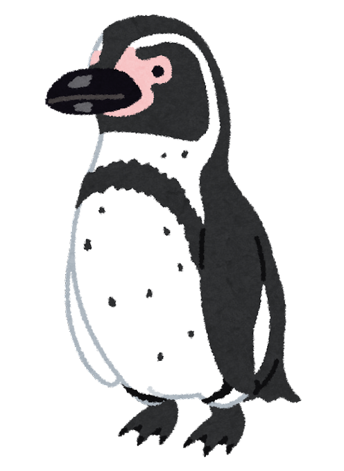 ケープペンギンのtwitterイラスト検索結果