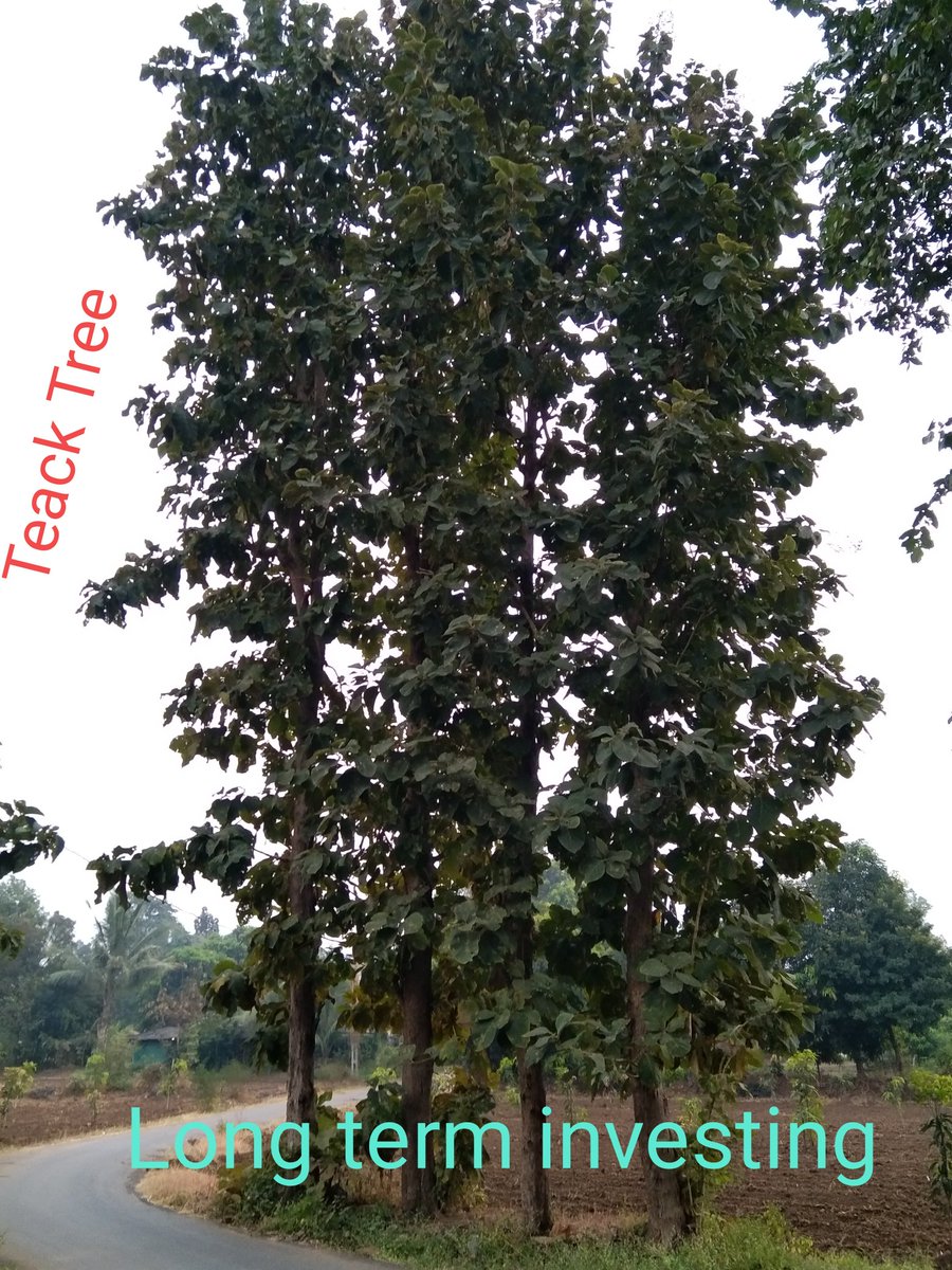 idineshptl's tweet photo. #Teack Tree

Lesson from #nature.
Long term #investing.

Planted at my village farm land.

More than 25 years ago planted teack now ..

Some of the company in stock market too #growth story from many years.

  #Patience
  #Perception
  #Probability
  #Perspective https://t.co/uN4Bsc7MJu