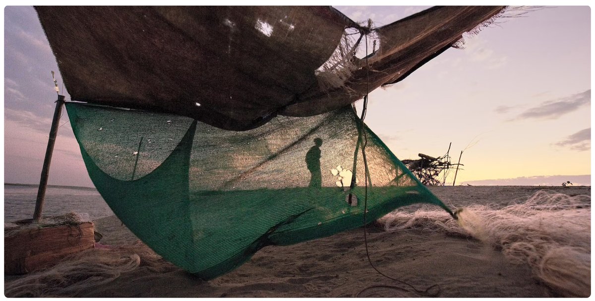 PhotosMyanmar's tweet photo. 'The Wating by @ivan_friedman. This image seems taken directly from a beautiful dream. The title is a reference to a temporary blurriness. #Myanmar is gorgeous and is fighting for its freedom.

Support #Myanmar: 
https://t.co/pSvy4Pfj2F
https://t.co/YuYTYpQay8

#PhotosForMyanmar https://t.co/PnSFzoaKsQ