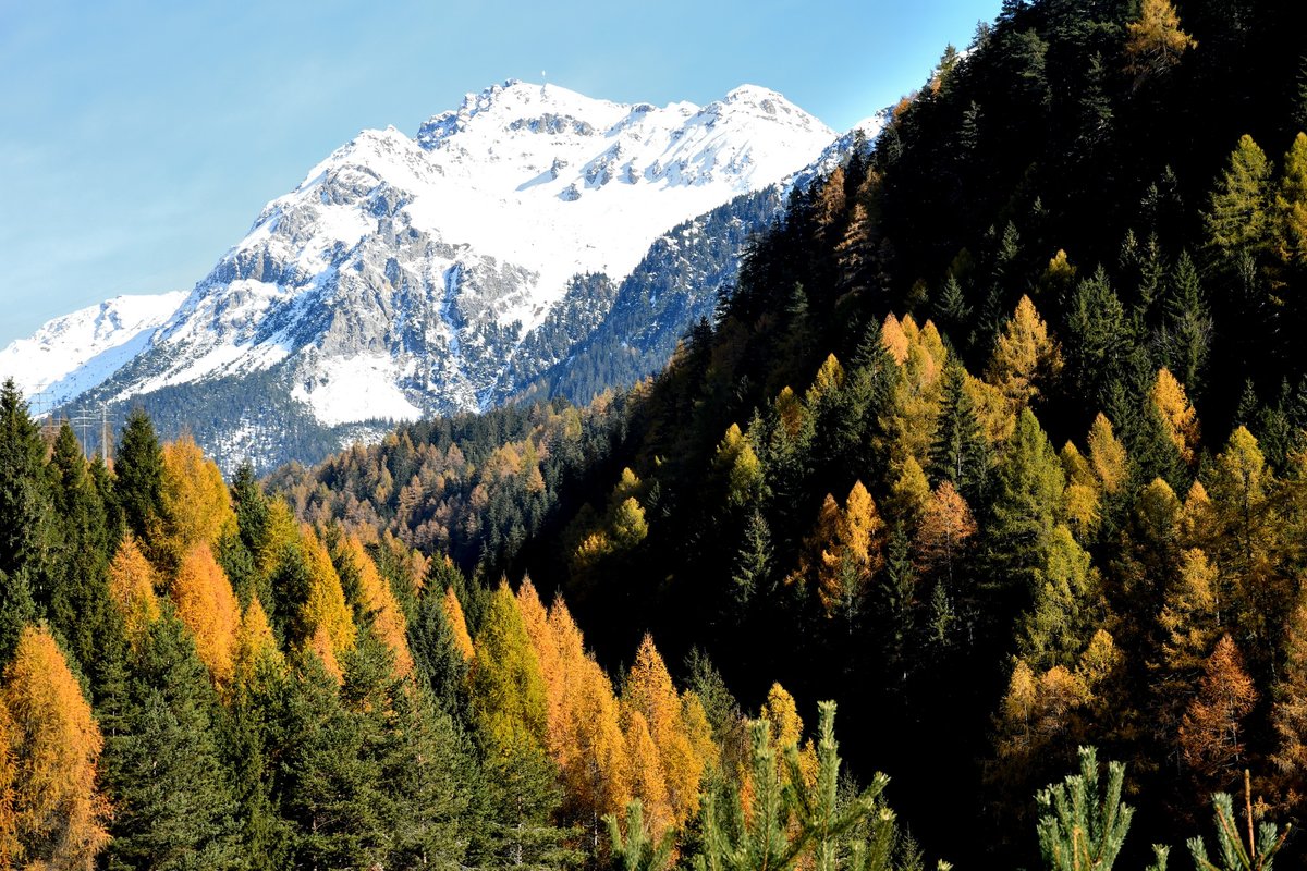 gurgeh's tweet photo. Via Albula

Filisur to Thusis, GR, Nov'21 https://t.co/BcJPVJp76X